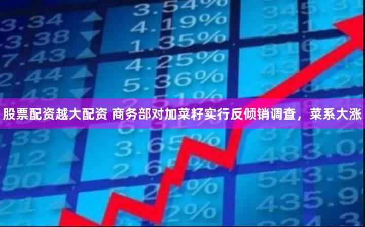 股票配资越大配资 商务部对加菜籽实行反倾销调查，菜系大涨