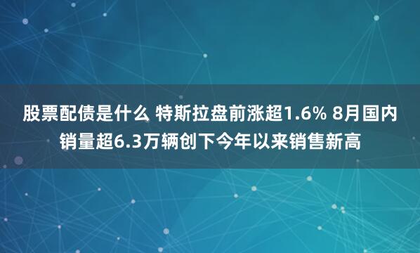 股票配债是什么 特斯拉盘前涨超1.6% 8月国内销量超6.3万辆创下今年以来销售新高