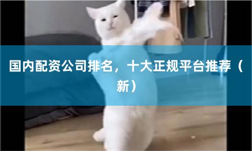 国内配资公司排名，十大正规平台推荐（新）
