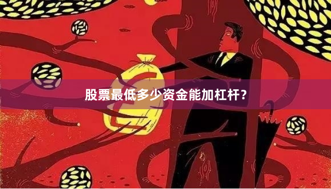 股票最低多少资金能加杠杆？